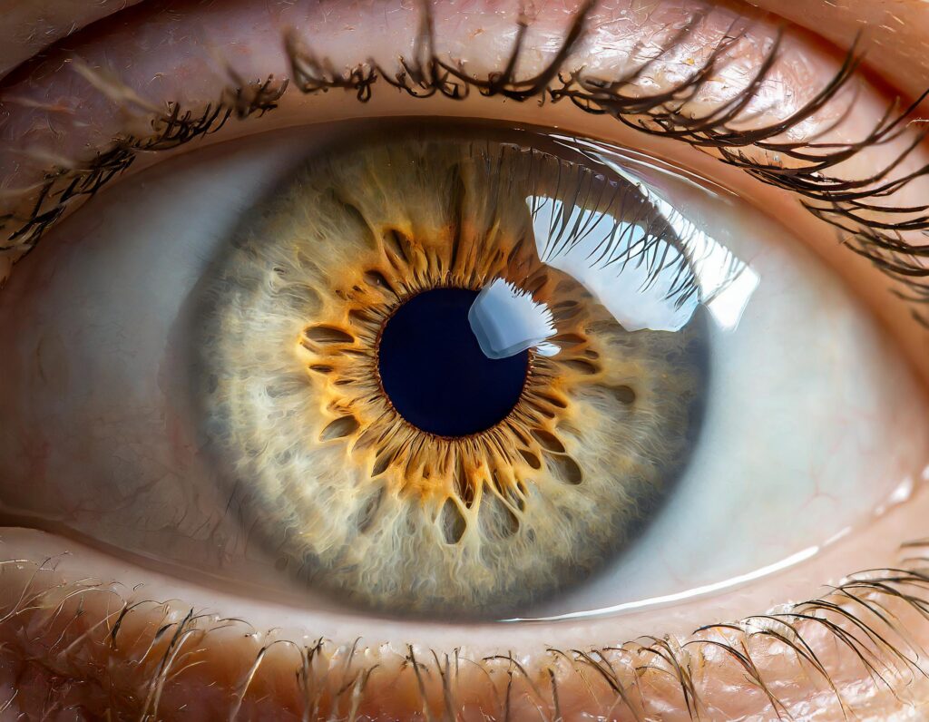 Augenoperation bei einem Glaukom: Den Grünen Star wirksam bekämpfen
